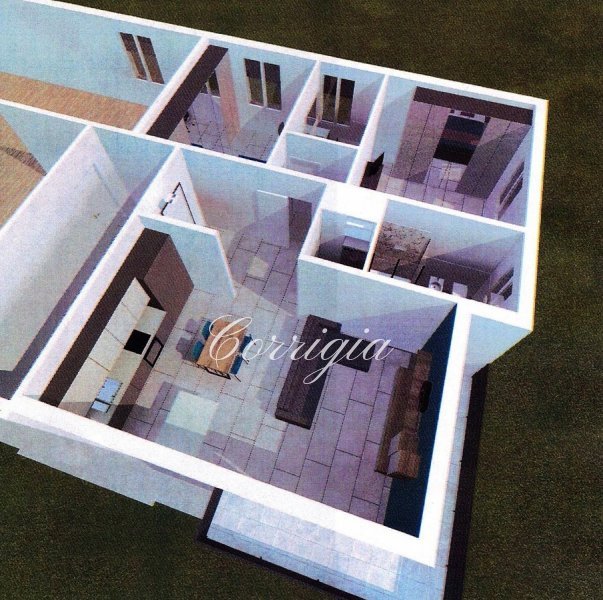 Immagine 2
